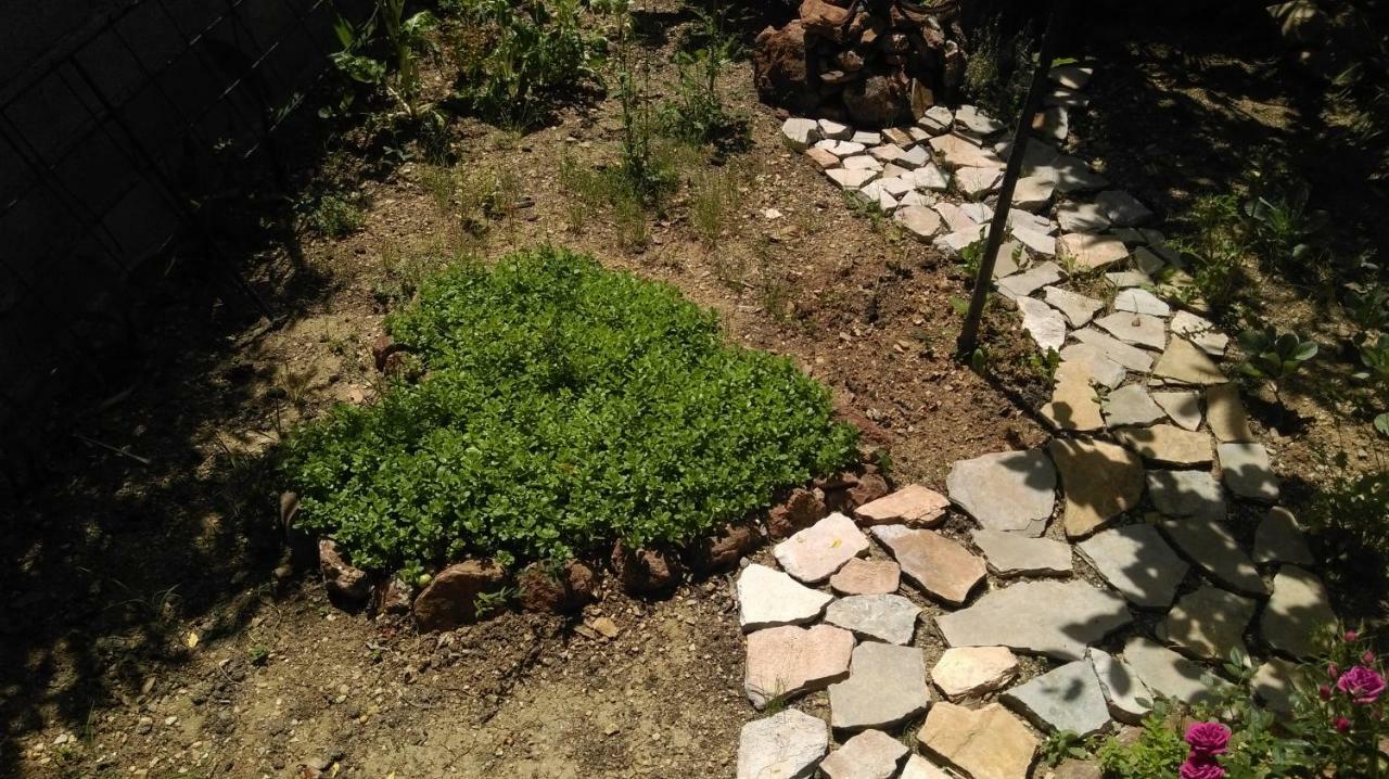 Apartman Restovic Bol Dış mekan fotoğraf