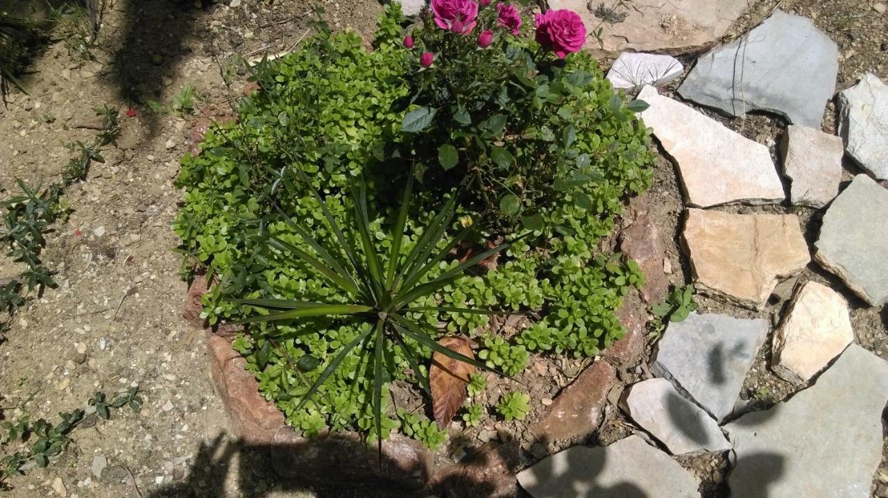 Apartman Restovic Bol Dış mekan fotoğraf