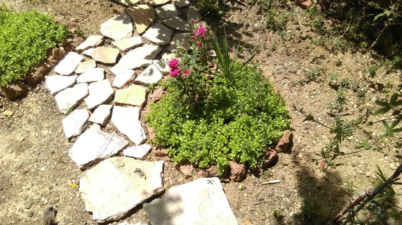 Apartman Restovic Bol Dış mekan fotoğraf